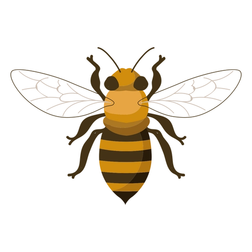 Casa Green abeja