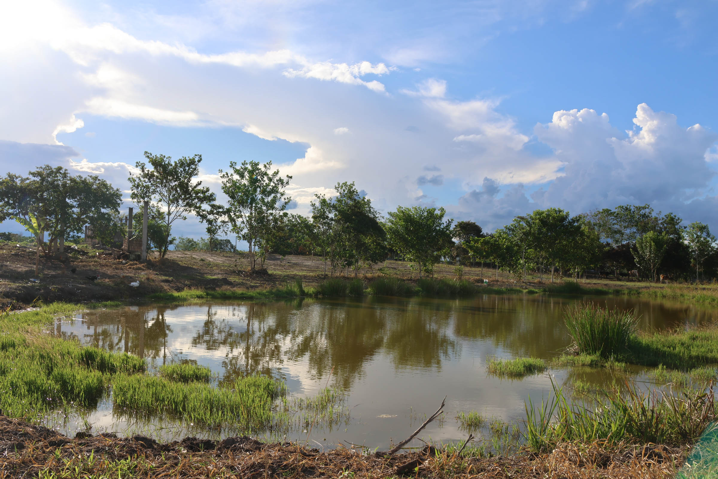 OASIS DEL MAYO Mz. I Lt. 14