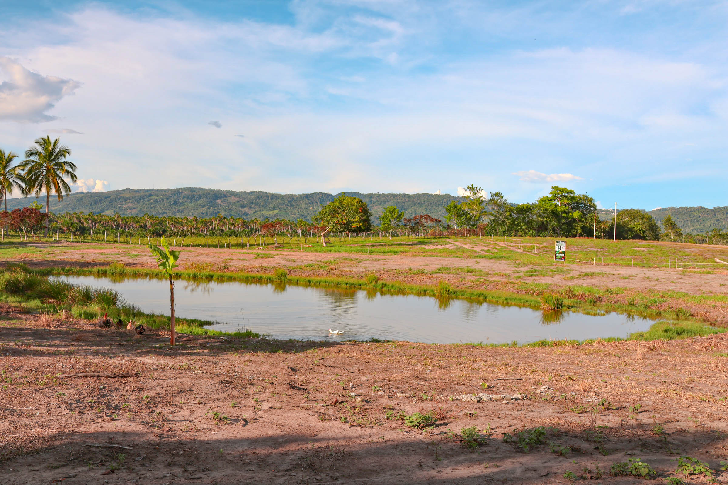 OASIS DEL MAYO