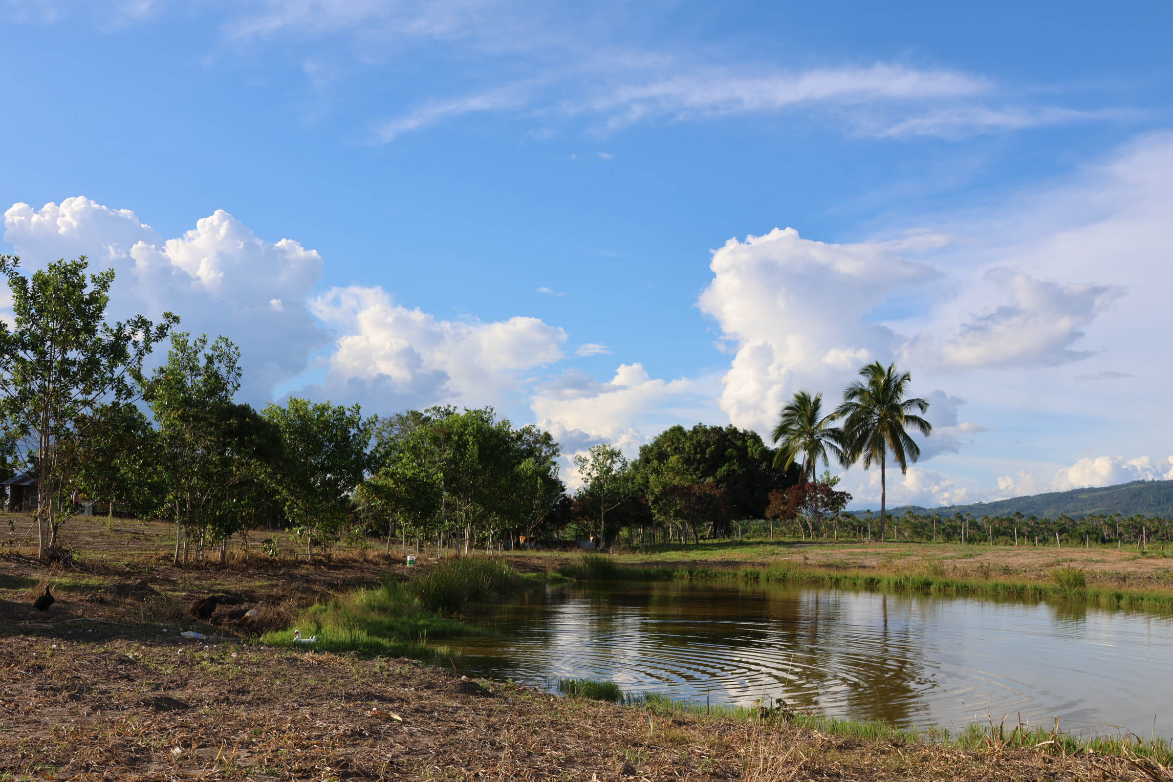 OASIS DEL MAYO