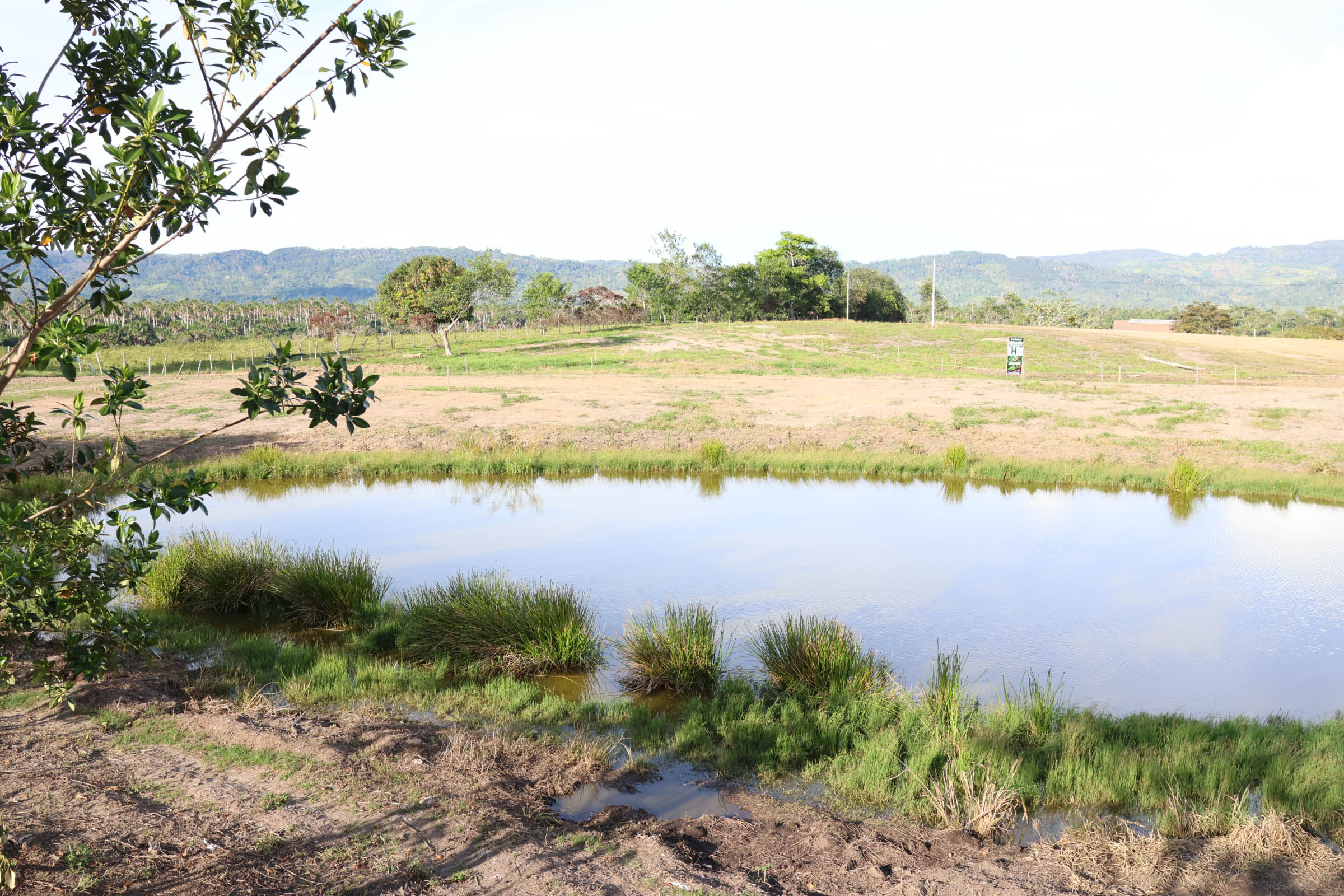 OASIS DEL MAYO